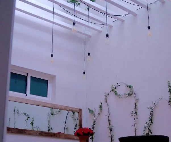 Casa Rm26 Coliving&travel Roma Norte, Cdmx * Città del Messico